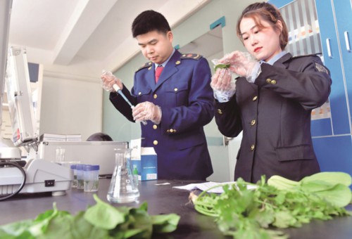 謹防食物中毒！秋季食品安全提醒