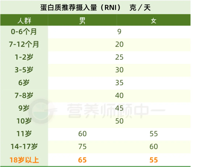 蛋白攝入.jpg